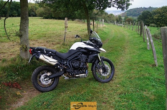 Triumph Tiger Xc Motoblog