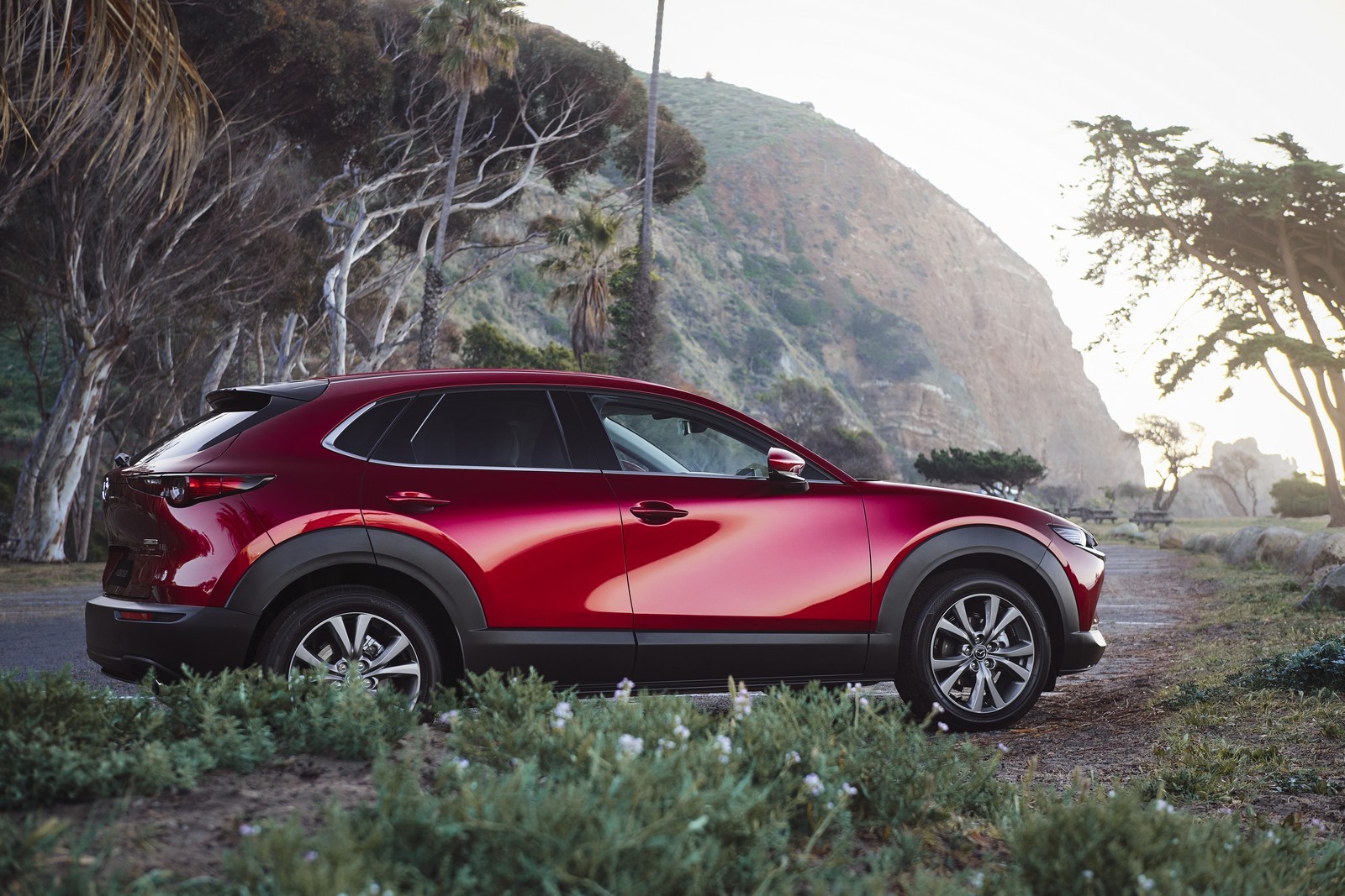 Mazda CX-30 Model Year 2021: immagini ufficiali