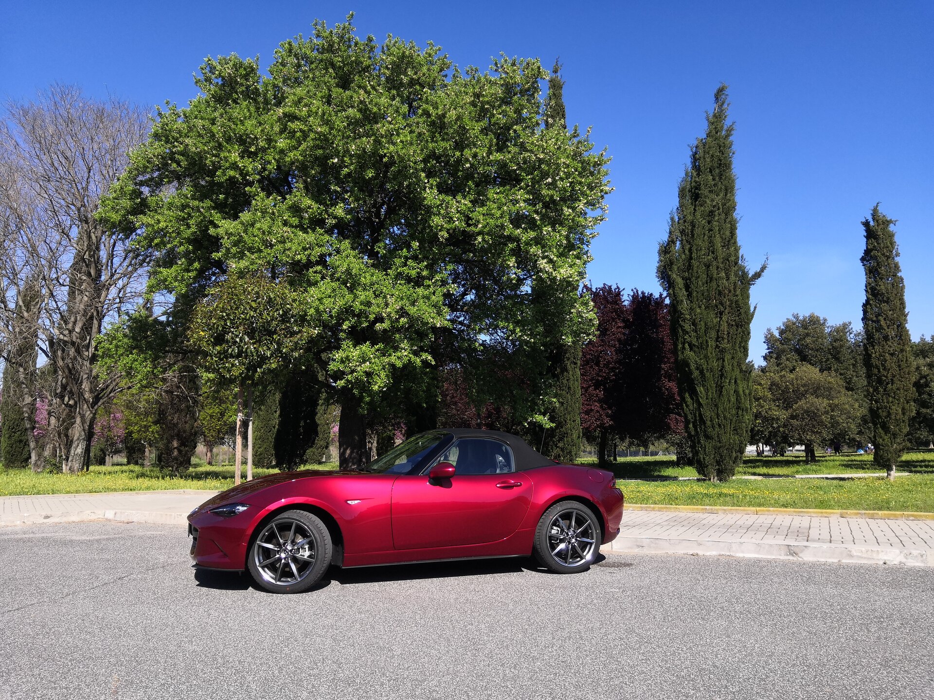 Mazda MX-5 2.0 Skyactiv-G Sport: la prova su strada