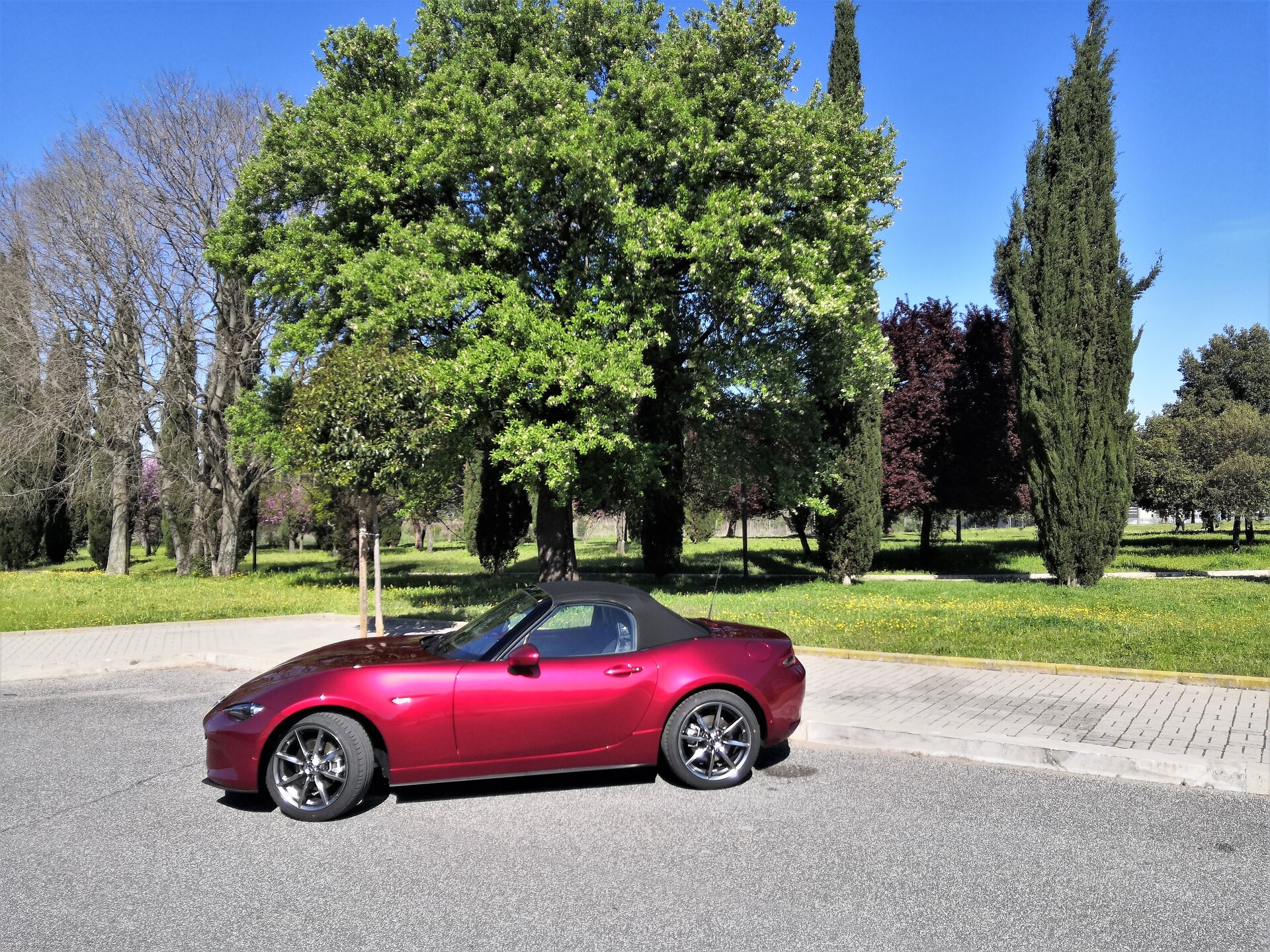 Mazda MX-5 2.0 Skyactiv-G Sport: la prova su strada