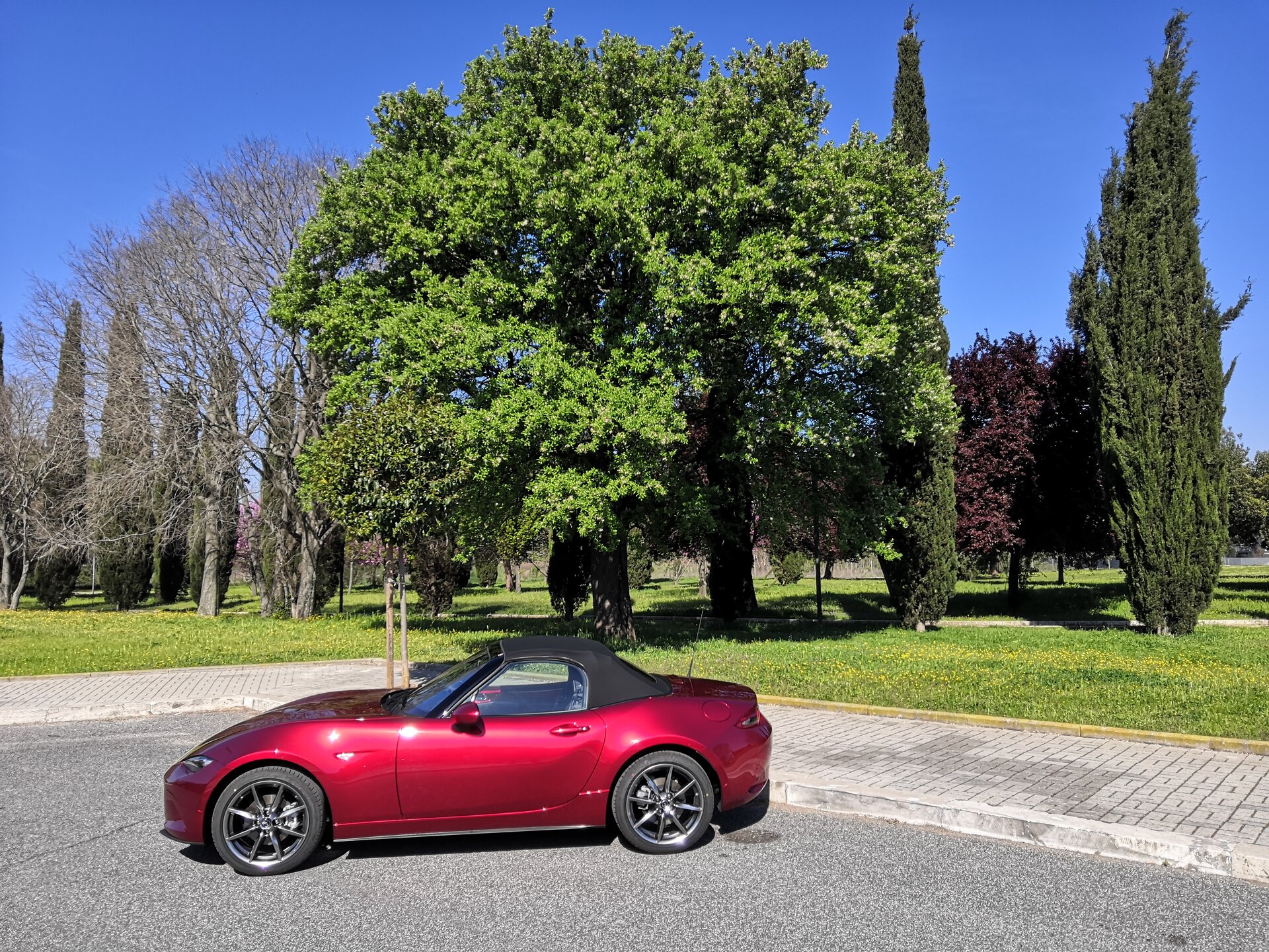 Mazda MX-5 2.0 Skyactiv-G Sport: la prova su strada