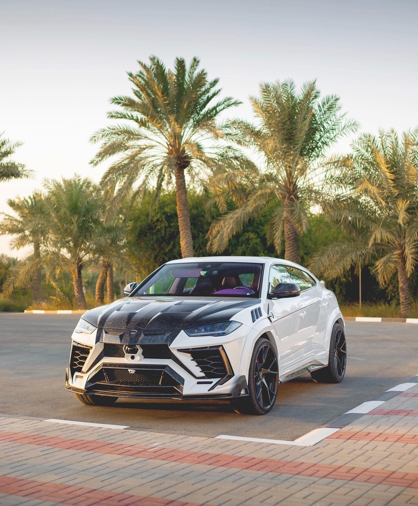 Lamborghini Urus tuning by Mansory