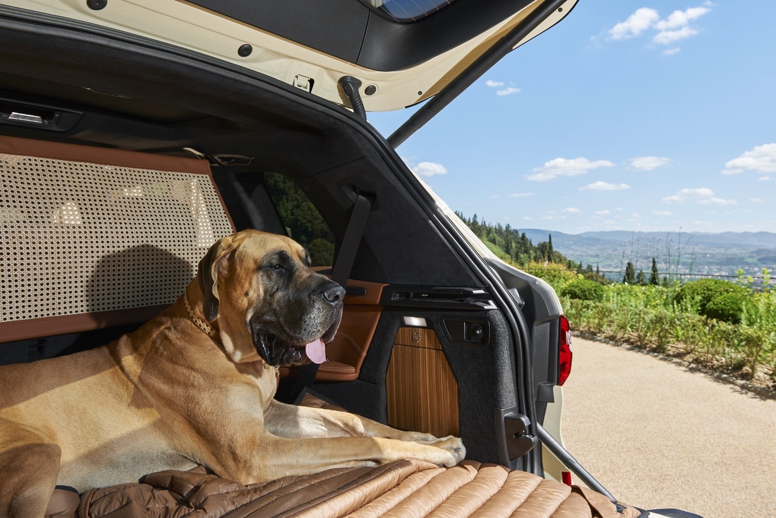 BMW X7 Poldo Dog Couture: immagini ufficiali