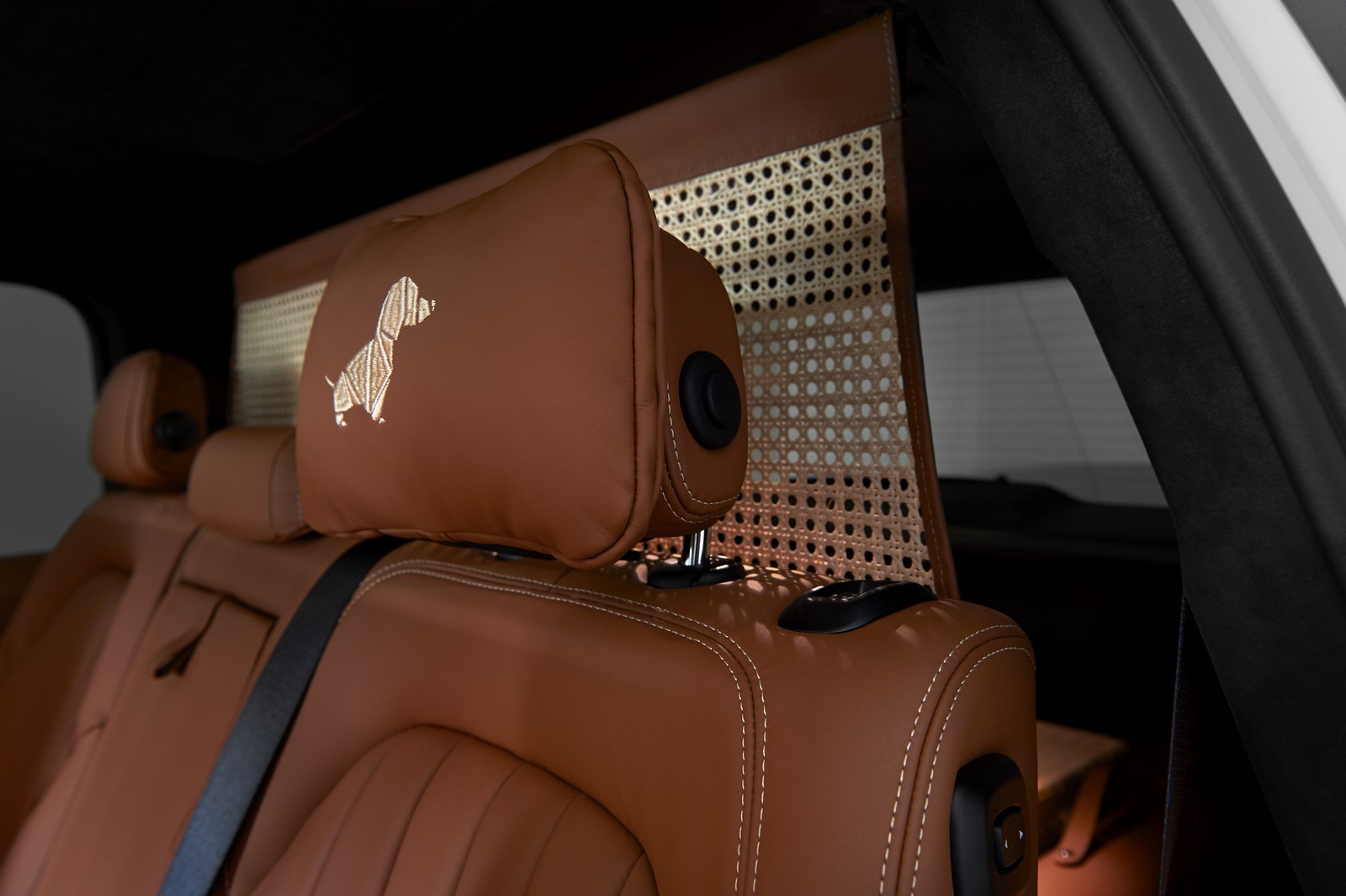 BMW X7 Poldo Dog Couture: immagini ufficiali