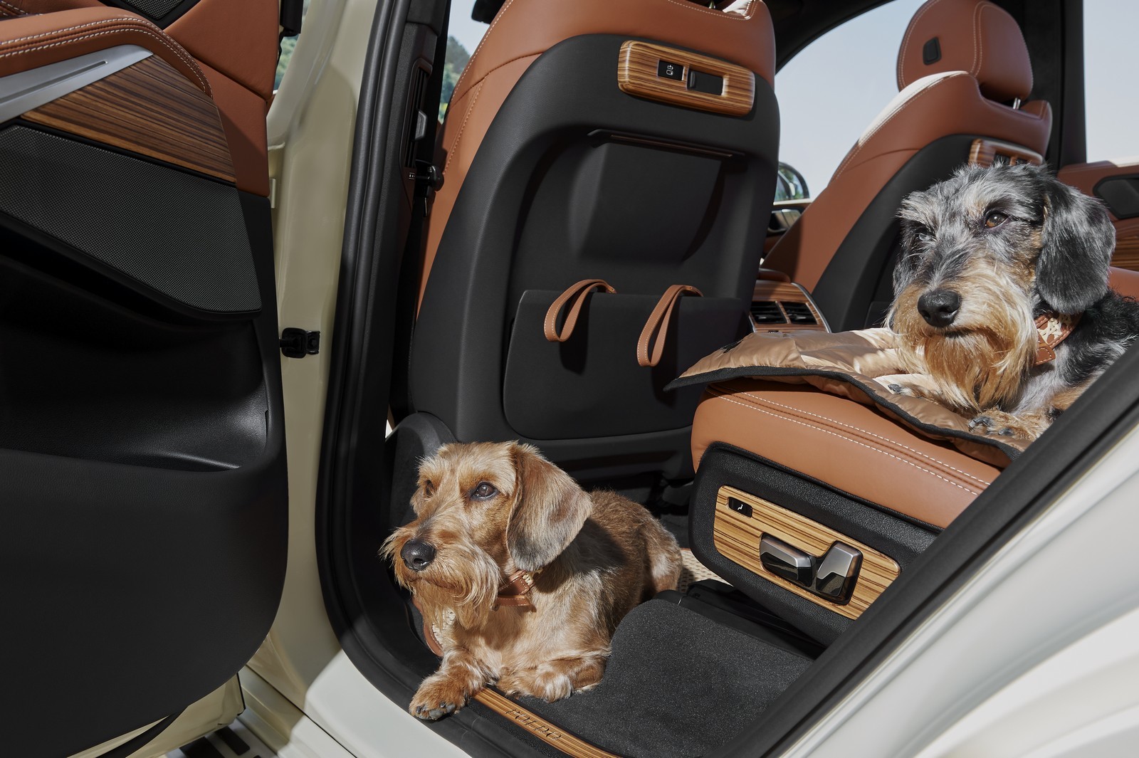 BMW X7 Poldo Dog Couture: immagini ufficiali