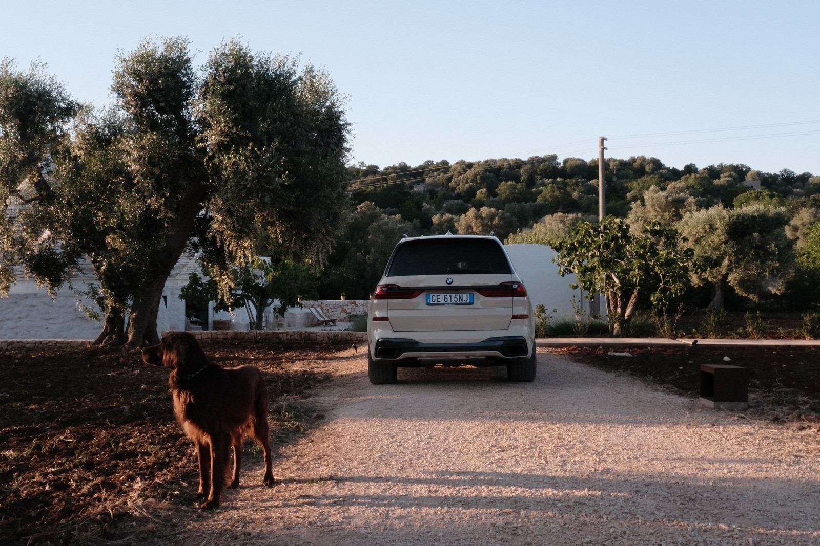 BMW X7 Poldo Dog Couture: immagini ufficiali