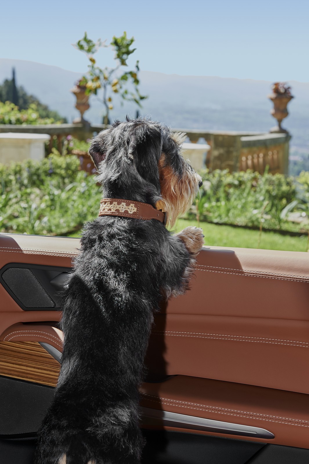 BMW X7 Poldo Dog Couture: immagini ufficiali