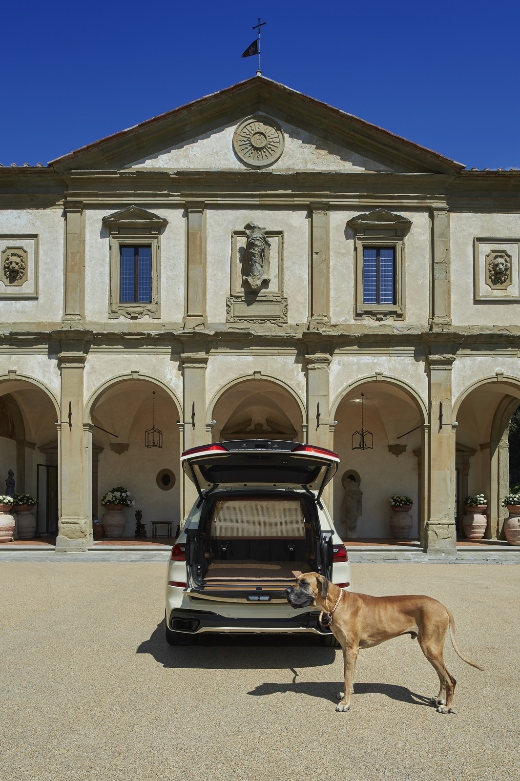 BMW X7 Poldo Dog Couture: immagini ufficiali