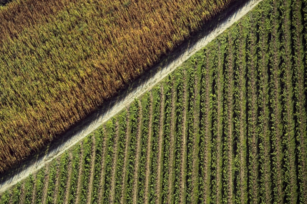 Porsche: apre l’Experience Center Franciacorta