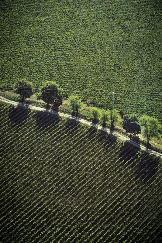 Porsche: apre l’Experience Center Franciacorta