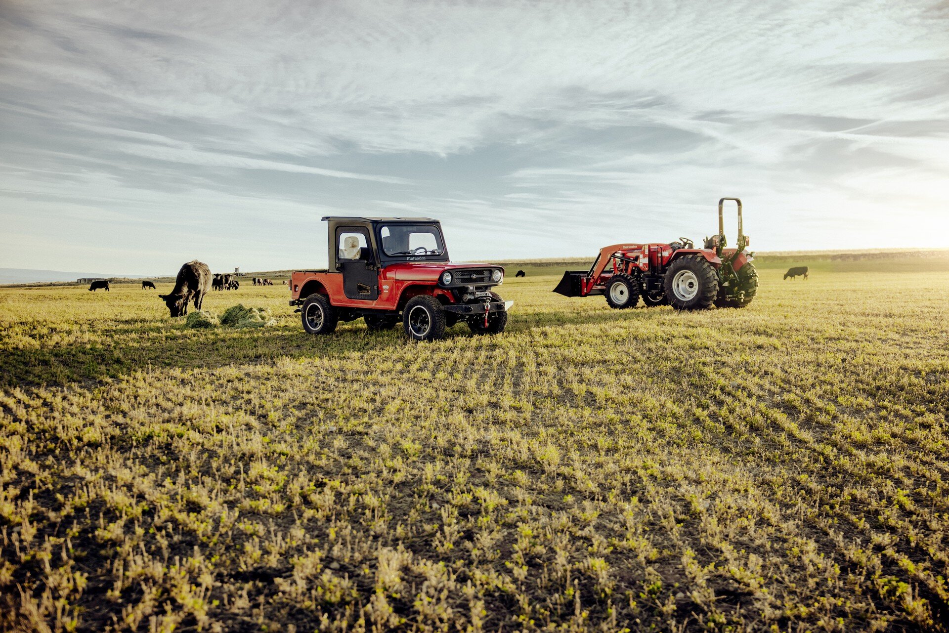 Mahindra Roxor 2022: le immagini ufficiali