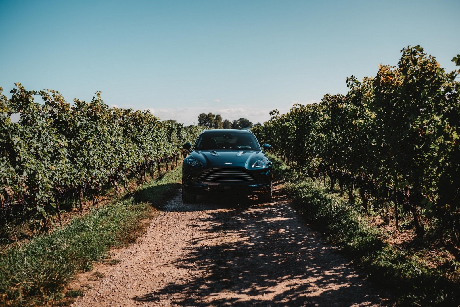 Aston Martin DBX Great Lakes Edition