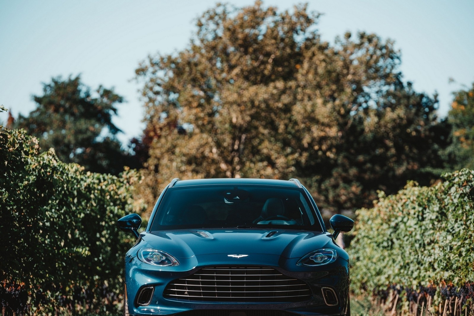 Aston Martin DBX Great Lakes Edition