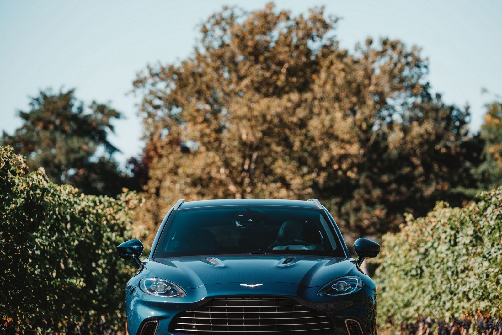 Aston Martin DBX Great Lakes Edition