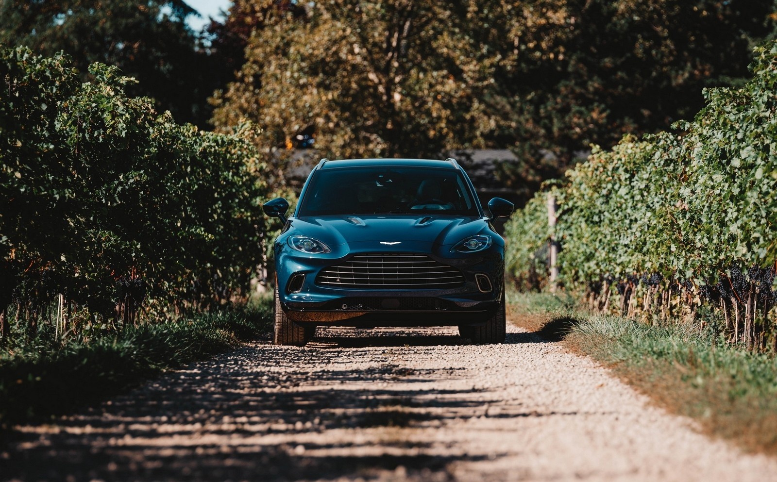 Aston Martin DBX Great Lakes Edition