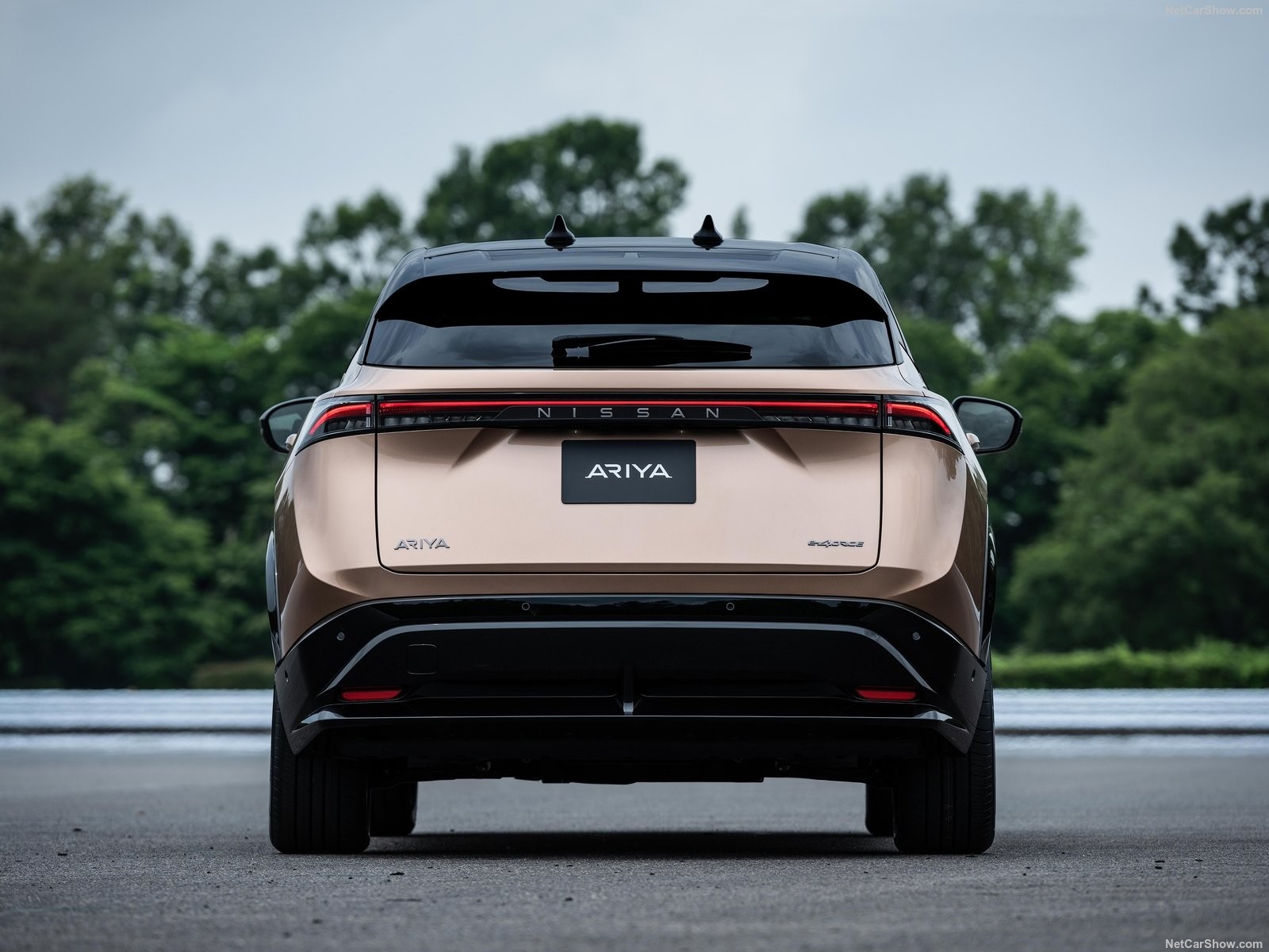 Nissan Ariya: le fotografie ufficiali