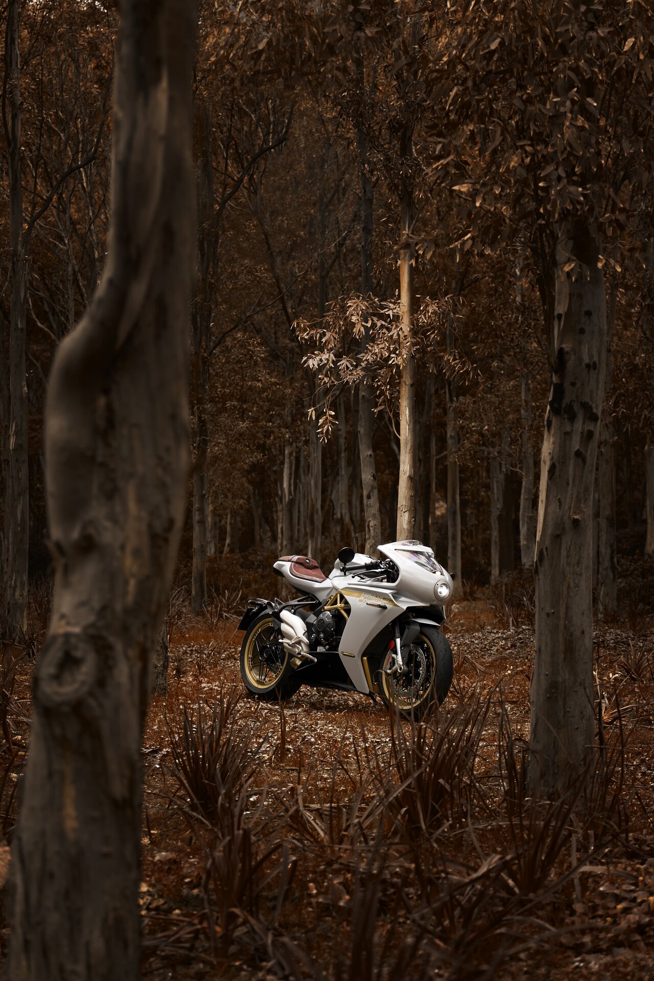 MV Agusta Superveloce S MY 2021