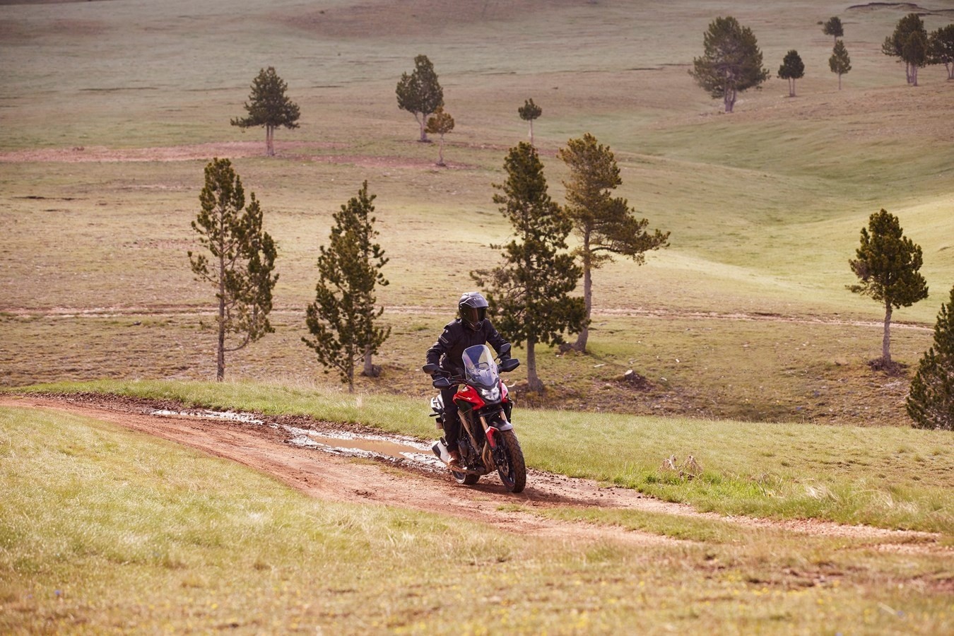 Honda CB500F, CB500R e CB500X 2022: le foto