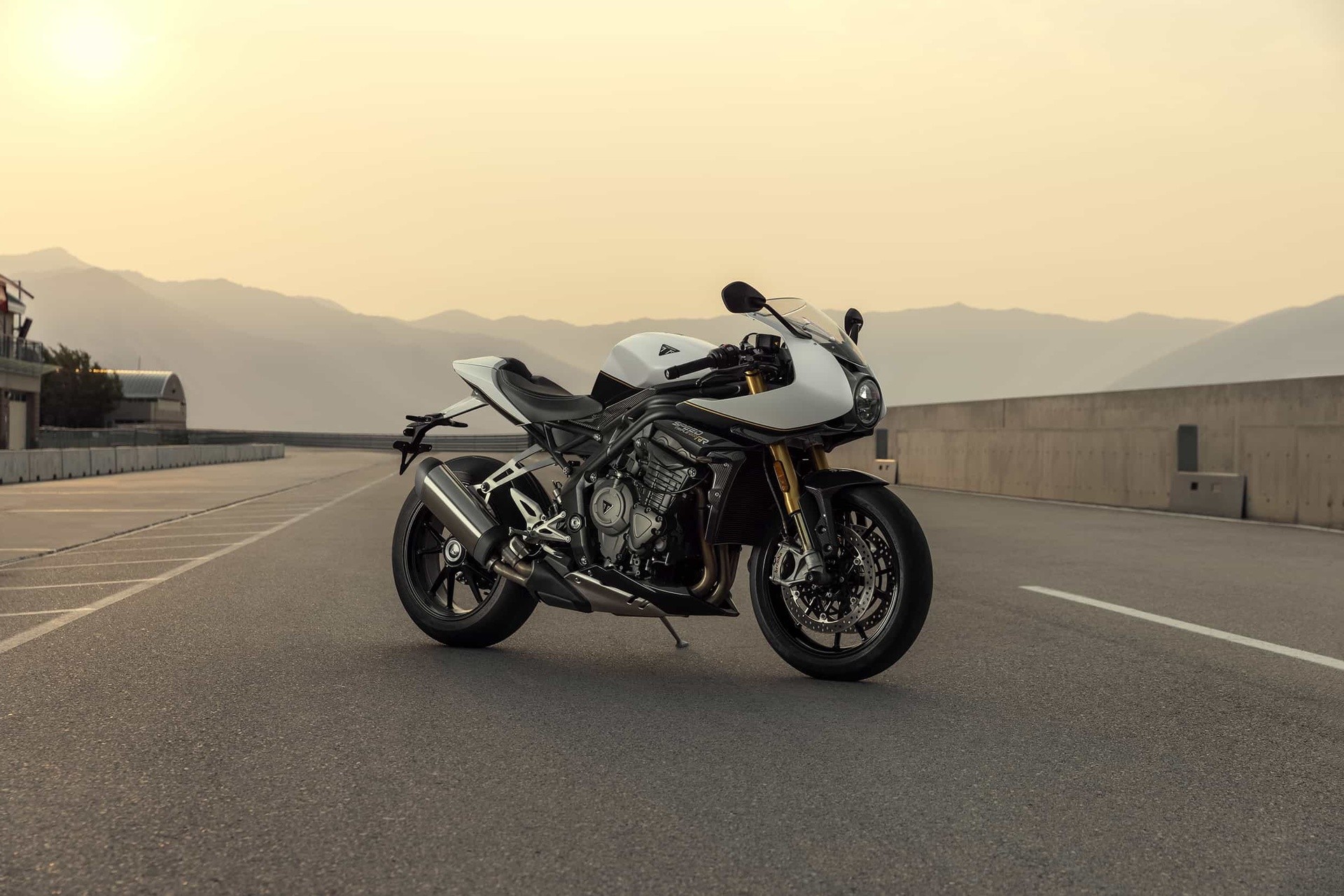 Triumph Speed Triple 1200 RR: le foto