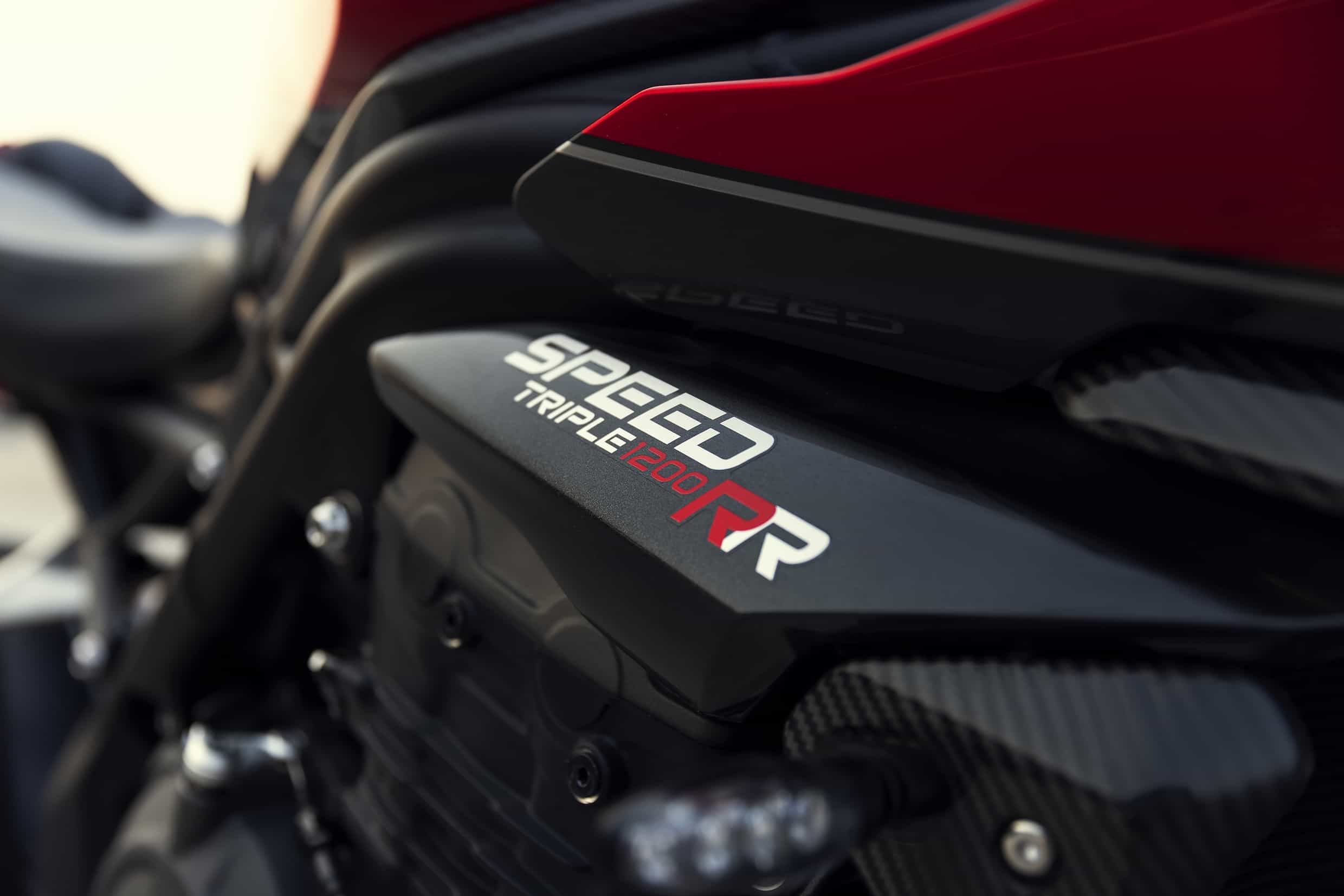 Triumph Speed Triple 1200 RR: le foto