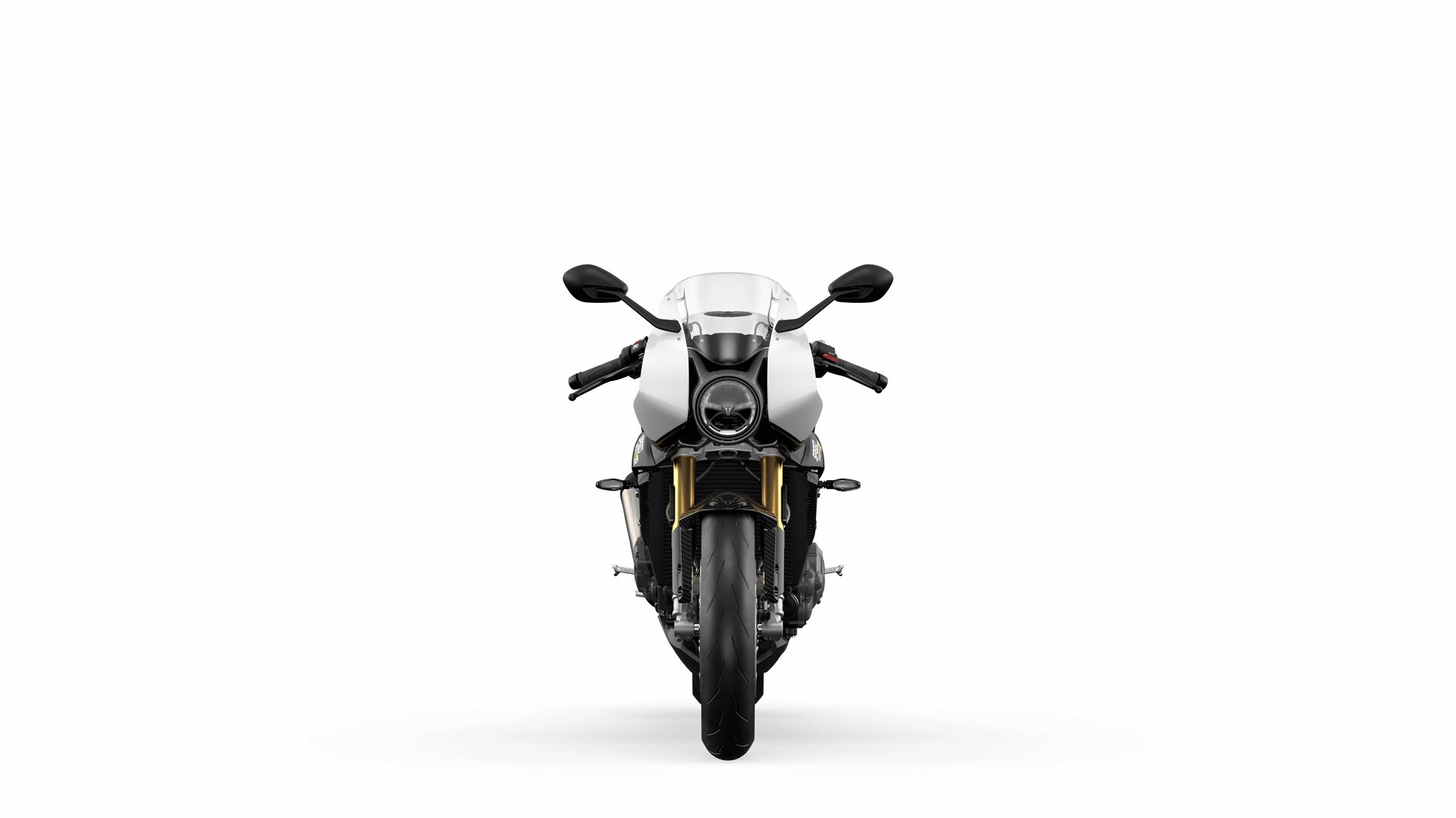 Triumph Speed Triple 1200 RR: le foto