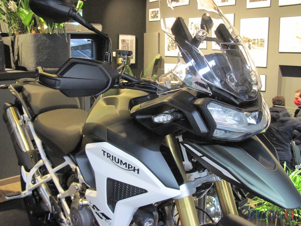 Triumph Tiger 1200 2022 | Live