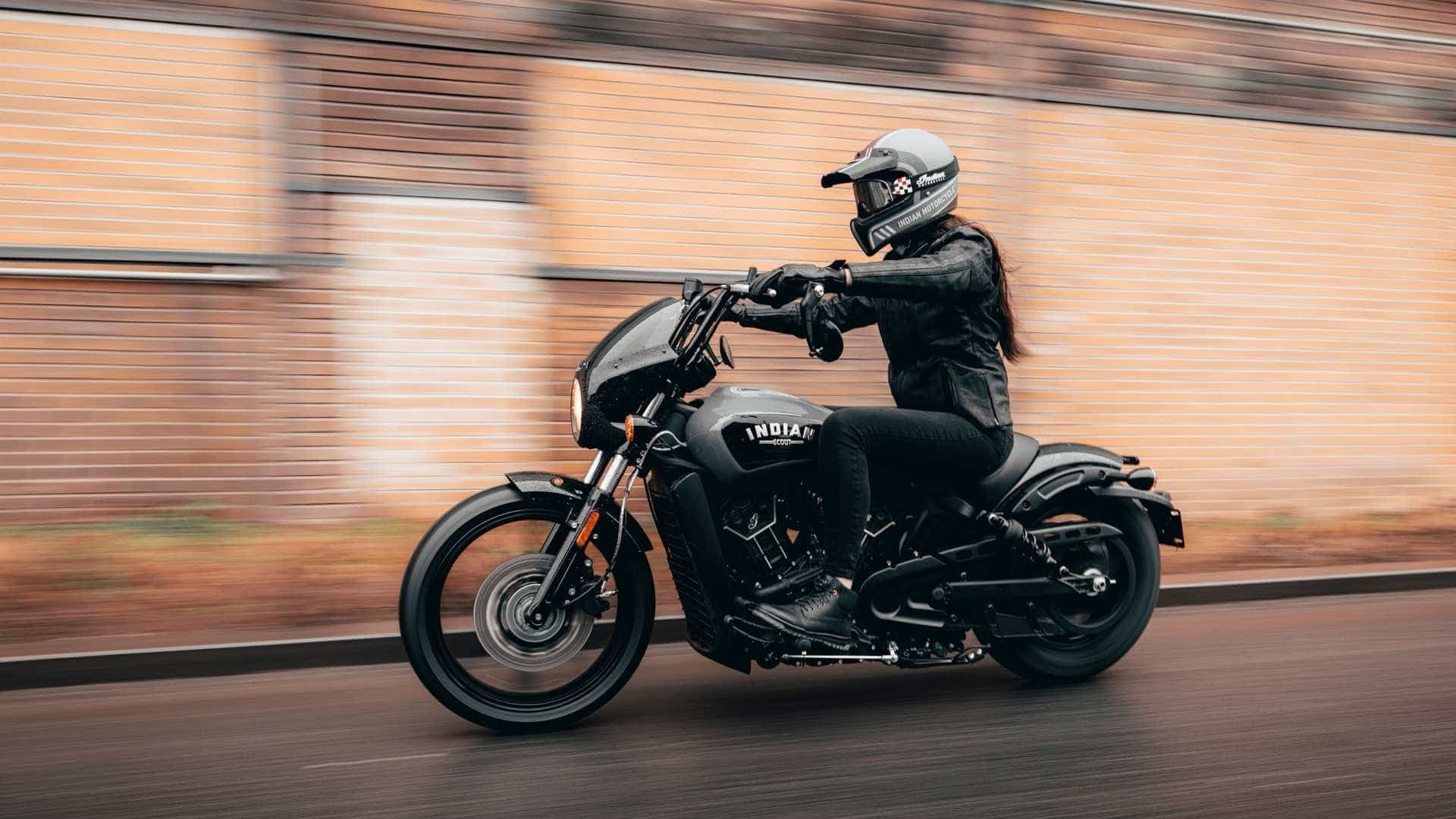 Indian Scout Rogue: le foto