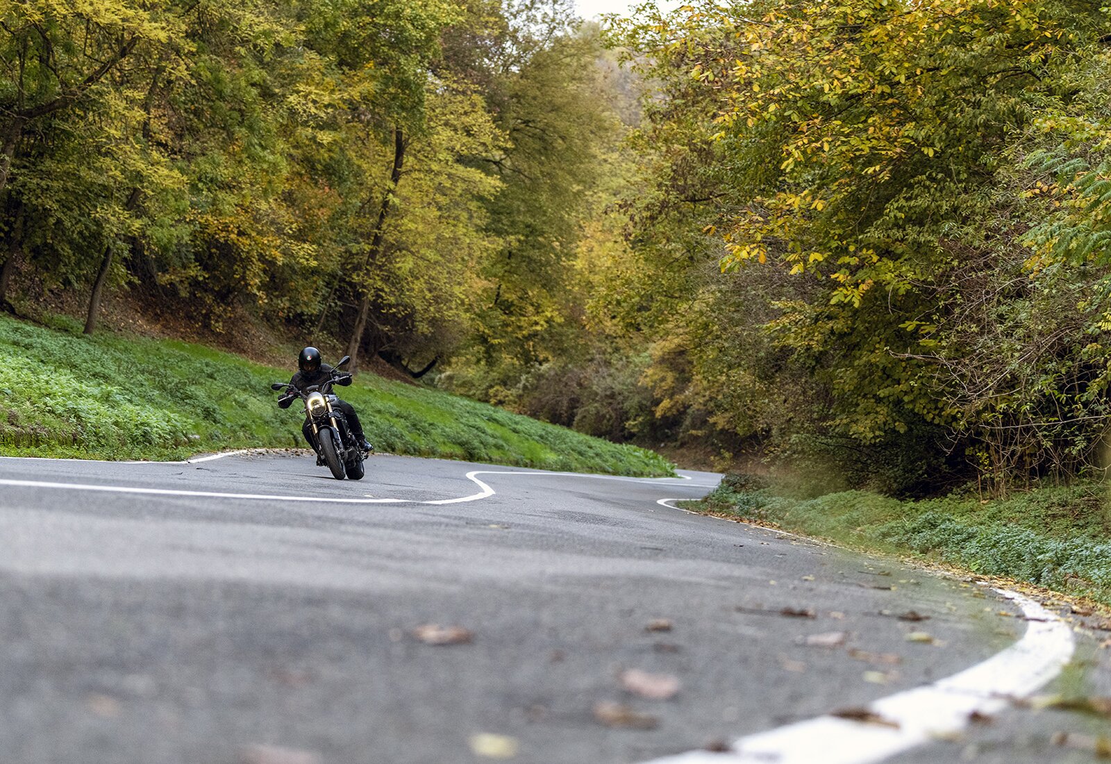 Benelli Leoncino 800: le foto