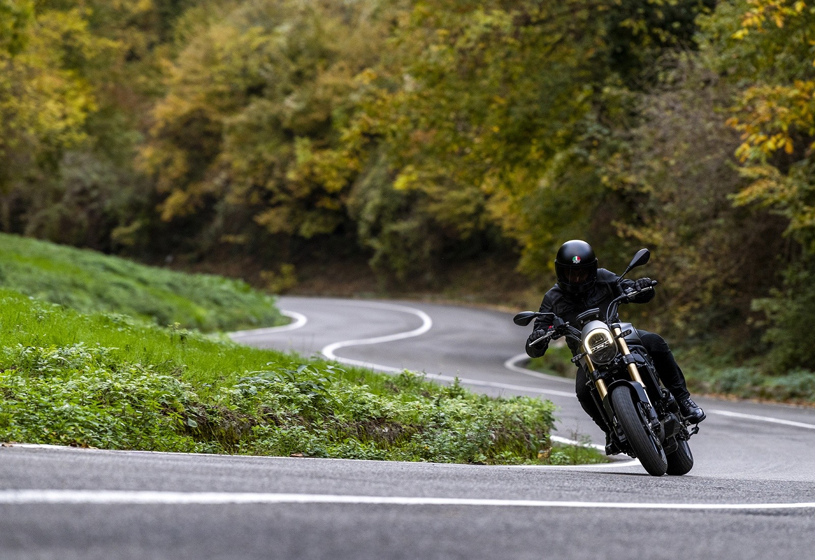 Benelli Leoncino 800: le foto