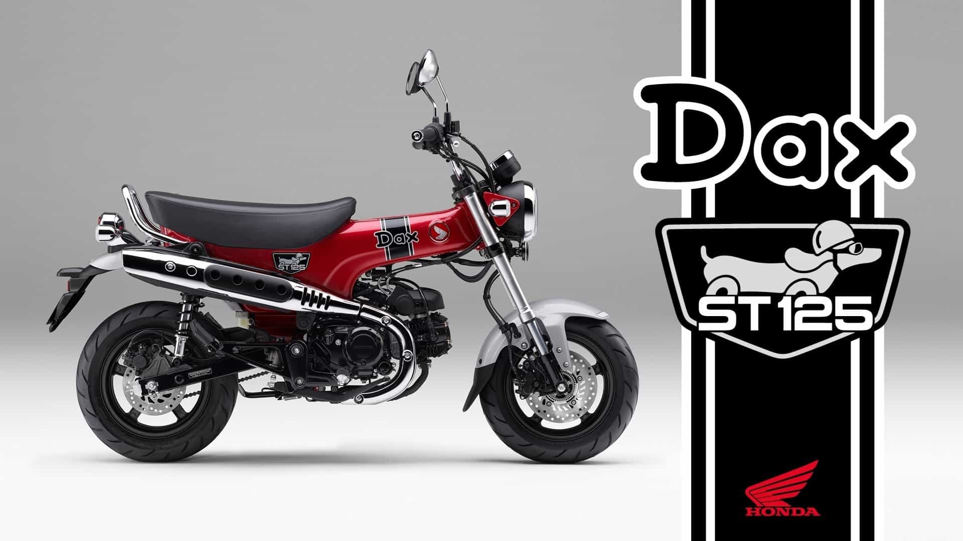 Honda ST125 Dax 2023: le foto