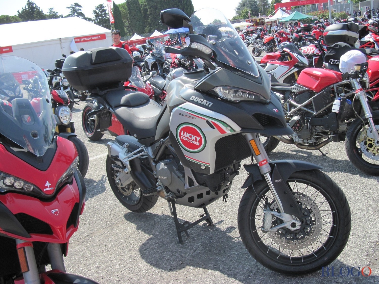 WDW2022 | Le Ducati del paddock di Misano